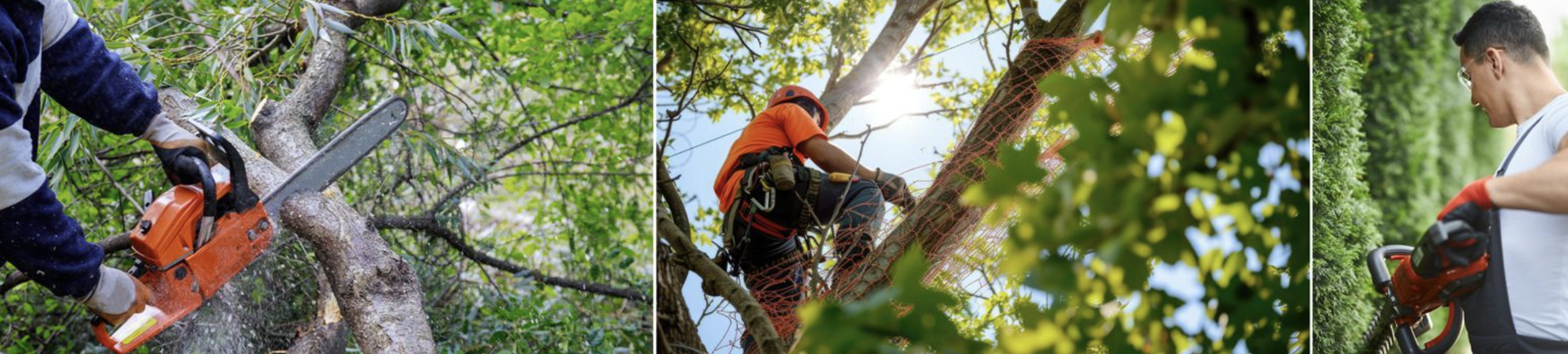 Paysagiste à Thonon-les-Bains